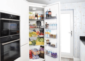 Nutricionista ensina quais alimentos vão dentro e fora da geladeira