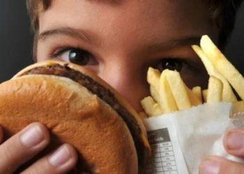 Alimentos ultraprocessados podem contribuir para perda cognitiva