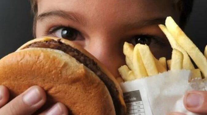 Alimentos ultraprocessados podem contribuir para perda cognitiva