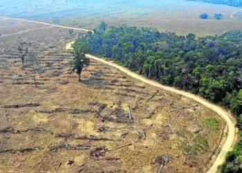 Desmatamento cresceu 28% no Cerrado e 7% na Amazônia em 2022