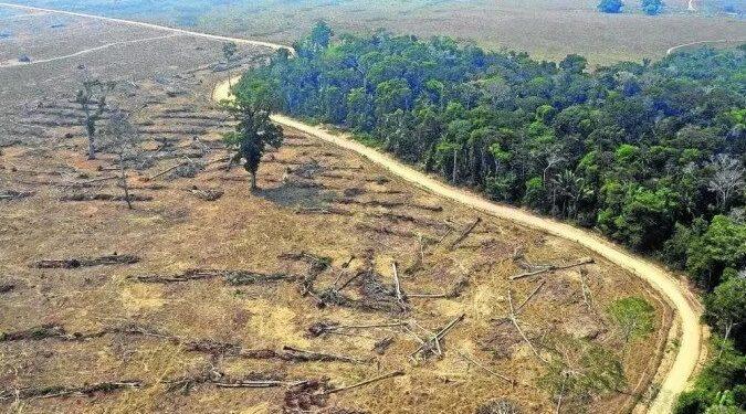 Desmatamento cresceu 28% no Cerrado e 7% na Amazônia em 2022