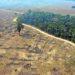 Desmatamento cresceu 28% no Cerrado e 7% na Amazônia em 2022