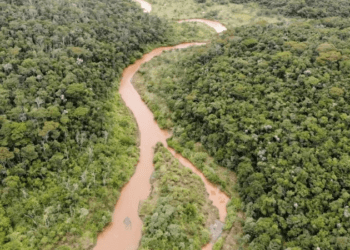 Meio Ambiente anuncia fundos para compensar perdas em Mariana