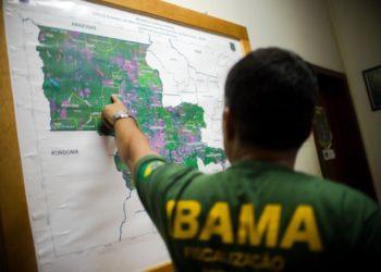 Empresa notifica fiscal do Ibama para apagar post sobre pesca de tubarão