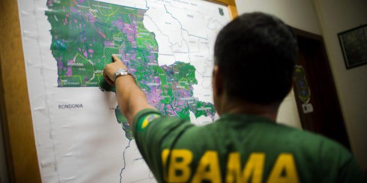 Empresa notifica fiscal do Ibama para apagar post sobre pesca de tubarão