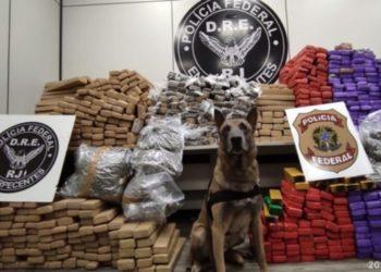 PF prende homem com quase 1 tonelada de maconha, na Via Dutra, no Rio