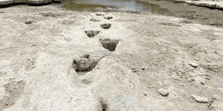 Pegadas de dinossauro de 113 milhões de anos aparecem nos EUA após rio secar