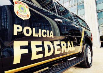 PF apreende nota de R$ 420 com estampa de bicho-preguiça e maconha no Acre