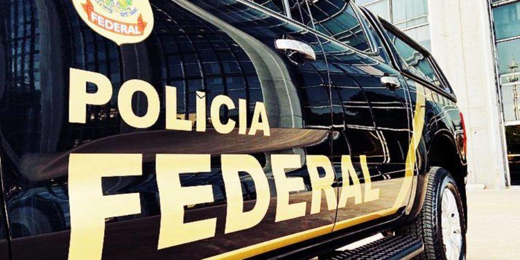 PF apreende nota de R$ 420 com estampa de bicho-preguiça e maconha no Acre