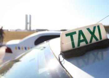 Auxílios Caminhoneiro e Taxista podem ser requeridos até 10 de outubro