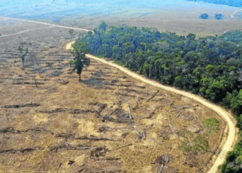 Indígenas fazem ato em São Paulo em defesa da Amazônia e de biomas