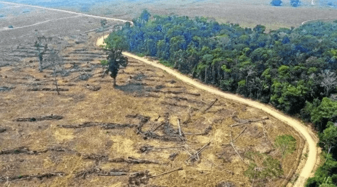 Indígenas fazem ato em São Paulo em defesa da Amazônia e de biomas