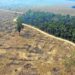 Indígenas fazem ato em São Paulo em defesa da Amazônia e de biomas