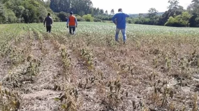 Seca severa afetará ao menos 80% dos brasileiros, diz pesquisa