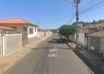 Araxá: homem mata galinhas e cachorro de companheira após briga por tapete