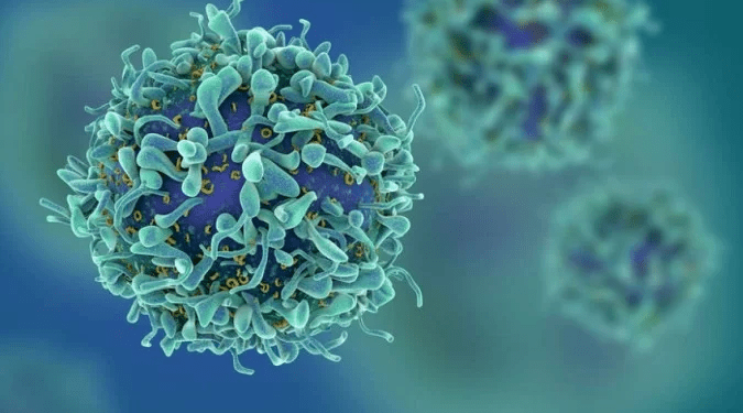 Tratamento focado em amplificação de linfócitos é aposta para combater câncer