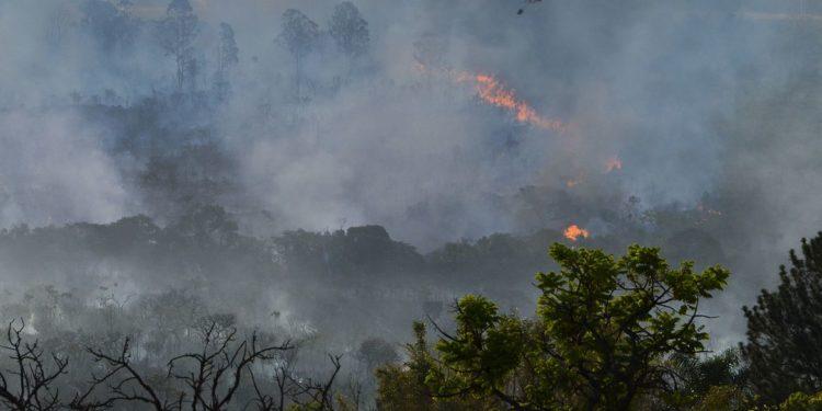Amazônia queima na nova ‘fronteira do desmatamento’