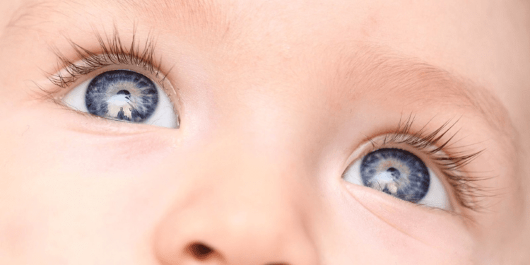 Dia do Retinoblastoma: 95% dos casos do câncer nos olhos são diagnosticados até os 5 anos