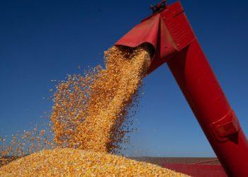 Em 12ª estimativa para safra 2021/22 de grãos, Conab mantém previsão de recorde