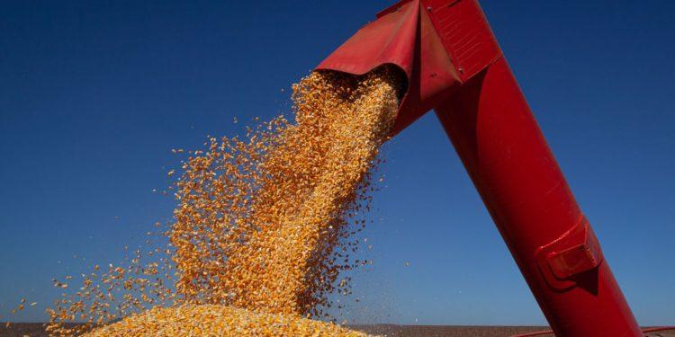 Em 12ª estimativa para safra 2021/22 de grãos, Conab mantém previsão de recorde