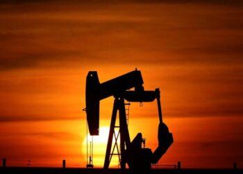 Amapá está na mira da exploração de petróleo em região de corais recém-achados