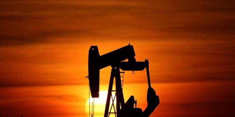 Amapá está na mira da exploração de petróleo em região de corais recém-achados