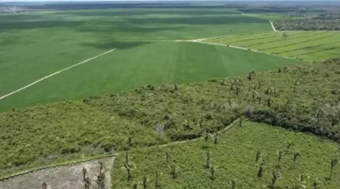 Brasil pode plantar mais soja sem desmatar a Amazônia, mostra estudo