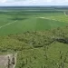 Brasil pode plantar mais soja sem desmatar a Amazônia, mostra estudo