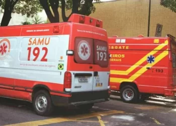 Mulher morre após ser atacada por cães rottweiler em BH
