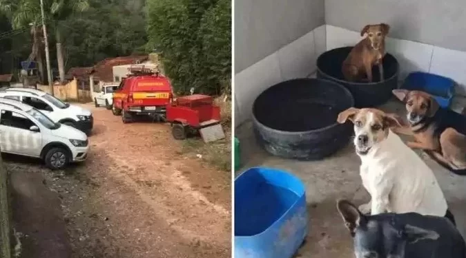 Bombeiros resgatam 12 cães após morte de tutor em Minas