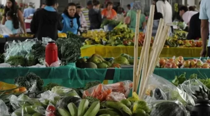 Bancada agroecológica: 153 parlamentares eleitos prometem defender a causa