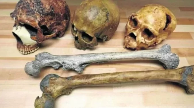Neandertais e Homo Sapiens podem ter coexistido por “apenas” 2,8 mil anos
