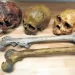 Neandertais e Homo Sapiens podem ter coexistido por “apenas” 2,8 mil anos
