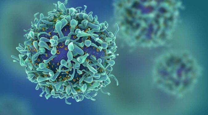 Tratamentos como imunoterapia e farmacologia mostram precisão no combate ao câncer