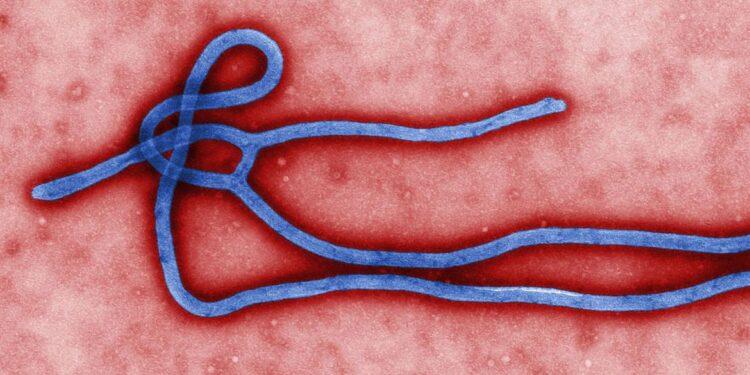 Epidemia de ebola deixa nove mortos em Uganda