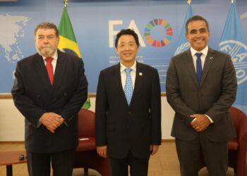 Brasil renova parceria com a Organização das Nações Unidas para Agricultura e Alimentação (FAO)