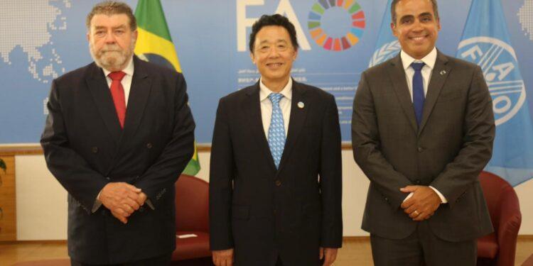 Brasil renova parceria com a Organização das Nações Unidas para Agricultura e Alimentação (FAO)