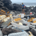 A remota ilha no Atlântico Sul que recebe lixo do mundo todo pelo mar