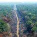 Amazônia bate recorde de desmatamento para o mês de outubro