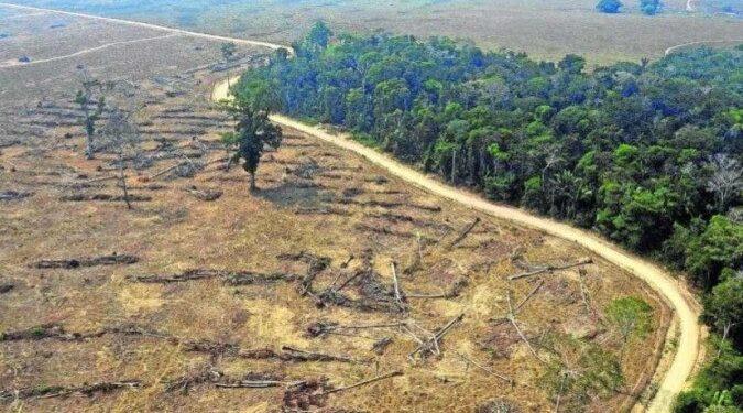 Desmatamento: País tem maior alta de emissão de gases de efeito estufa em 19 anos