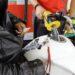 Etanol é mais competitivo ante gasolina apenas em Mato Grosso e na Paraíba