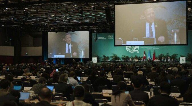 Ministros iniciam negociações em Montreal para acordo sobre biodiversidade