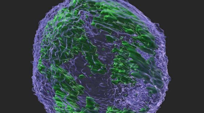 Enzima que protege células contra vírus pode ajudar na evolução do câncer