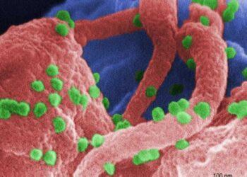 Após sucesso em teste com humanos, vacina contra Aids está mais próxima