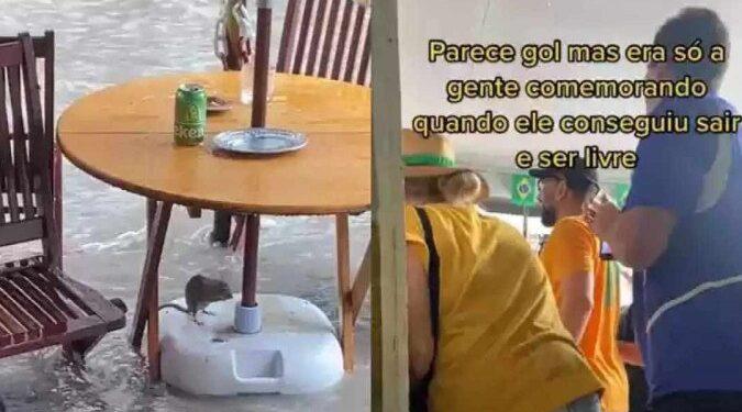 Ratinho ilhado viraliza ao roubar torcida em transmissão de jogo do Brasil