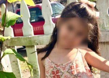 Menina de 7 anos morre após ataque de pitbull nos EUA e dono é preso