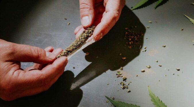 Legalização da maconha aumenta oportunidades de emprego no setor agrícola