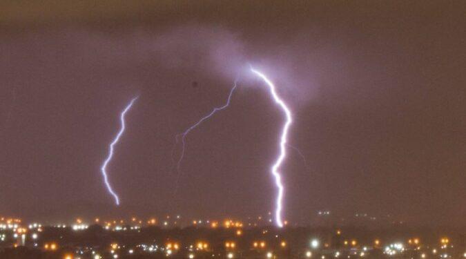 Homem chega em casa e é morto após árvore desabar em São Paulo