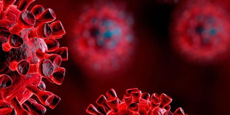 Covid veio para ficar. Como o mundo pode responder a isso?