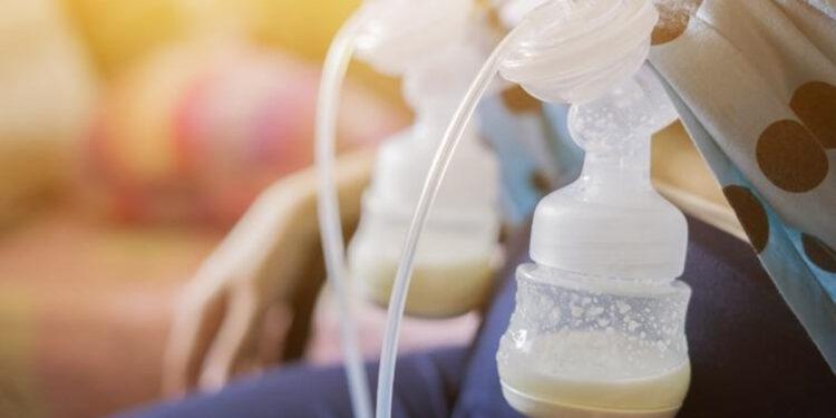 Estudo oferece novas evidências de que leite materno pode proteger bebês contra Covid